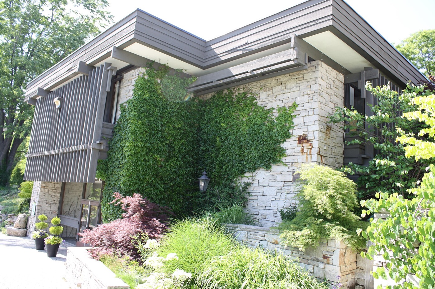 Toronto Botanical Garden pavilion: a stone building with a timber slat wall, ivy and a Japanese maple in the planting
